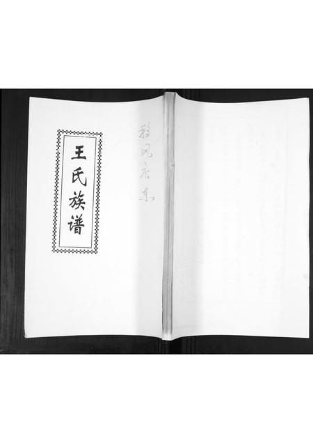 山东王氏-王氏族谱.pdf电子版