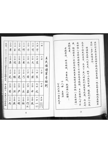 山东王氏-王氏族谱.pdf电子版插图2