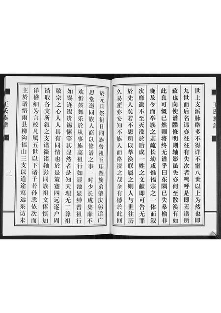 山东王氏-王氏族谱.pdf电子版插图3 山东王氏-王氏族谱.pdf电子版插图3