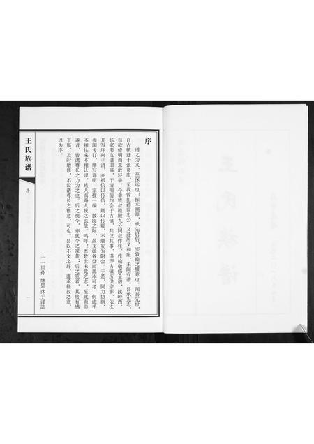 山东王氏-王氏族谱.pdf电子版插图2 山东王氏-王氏族谱.pdf电子版插图2
