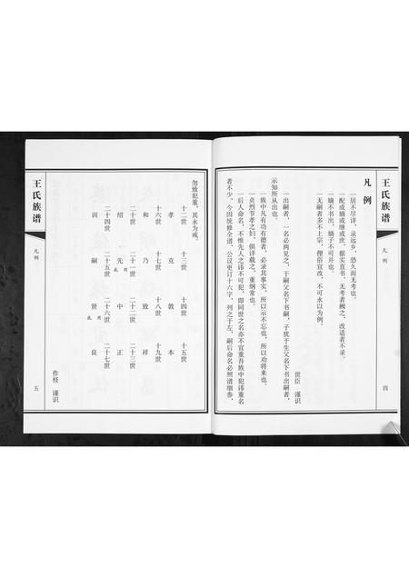 山东王氏-王氏族谱.pdf电子版插图4 山东王氏-王氏族谱.pdf电子版插图4