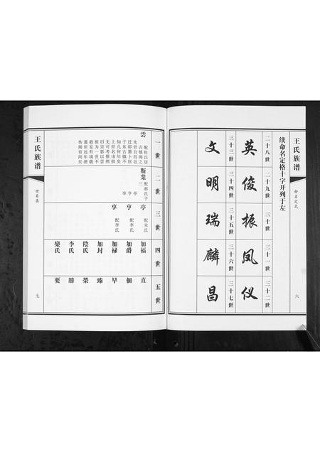 山东王氏-王氏族谱.pdf电子版插图5 山东王氏-王氏族谱.pdf电子版插图5