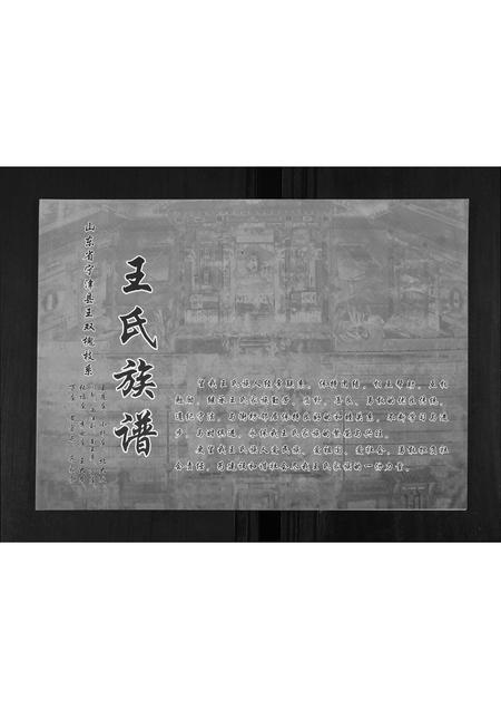 山东王氏-王氏族谱.pdf电子版