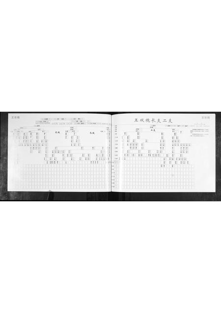 山东王氏-王氏族谱.pdf电子版插图5 山东王氏-王氏族谱.pdf电子版插图5