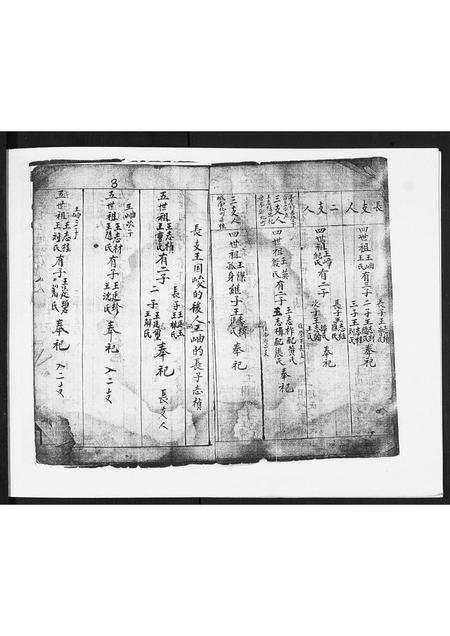 山东王氏-王氏族谱.pdf电子版插图2 山东王氏-王氏族谱.pdf电子版插图2