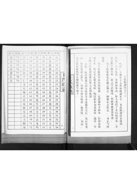 山东王氏-王氏族谱.pdf电子版插图3 山东王氏-王氏族谱.pdf电子版插图3