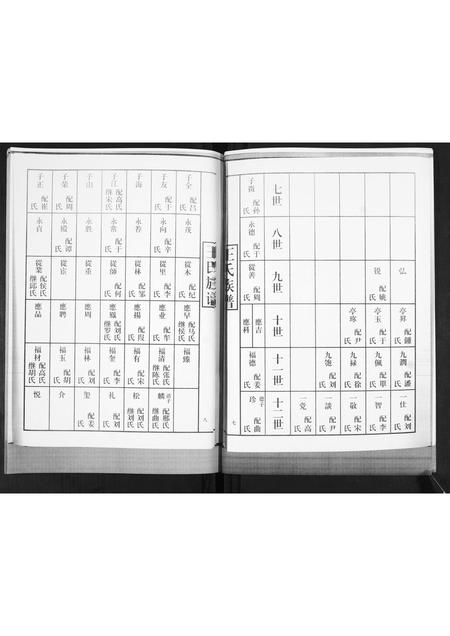 山东王氏-王氏族谱.pdf电子版插图5 山东王氏-王氏族谱.pdf电子版插图5