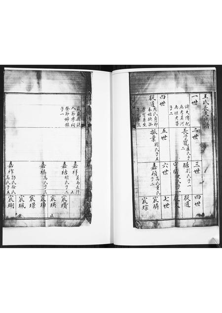 山东王氏-王氏族谱.pdf电子版插图3 山东王氏-王氏族谱.pdf电子版插图3