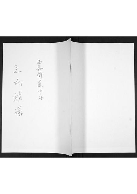 山东王氏-王氏族谱.pdf电子版