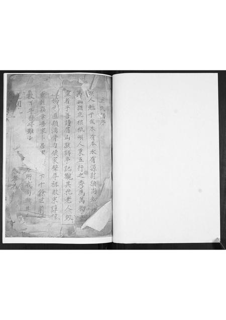 山东王氏-王氏族谱.pdf电子版插图1