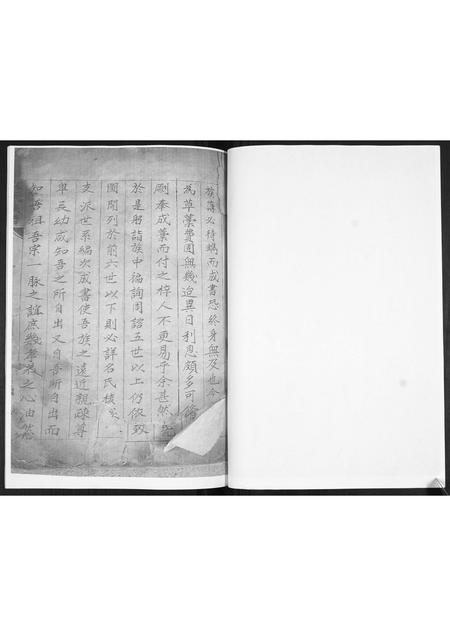 山东王氏-王氏族谱.pdf电子版插图3