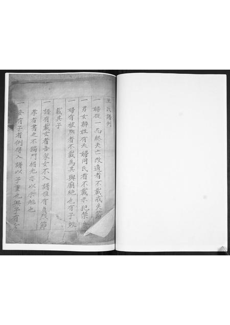 山东王氏-王氏族谱.pdf电子版插图5