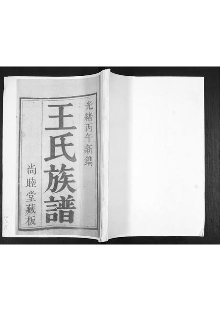 山东王氏-王氏族谱.pdf电子版