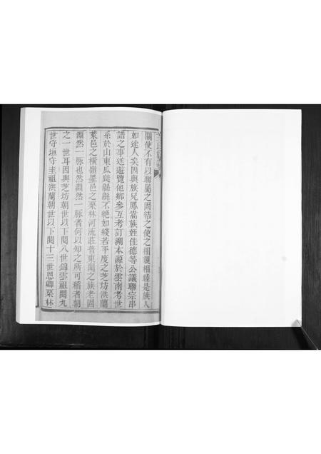 山东王氏-王氏族谱.pdf电子版插图5 山东王氏-王氏族谱.pdf电子版插图5