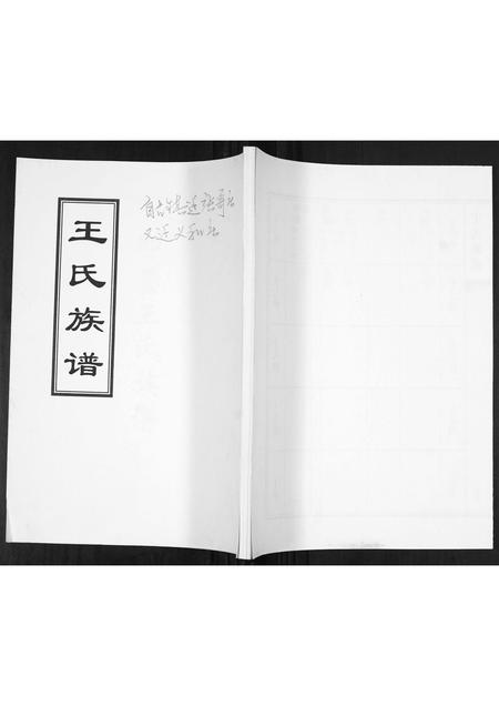 山东王氏-王氏族谱.pdf电子版