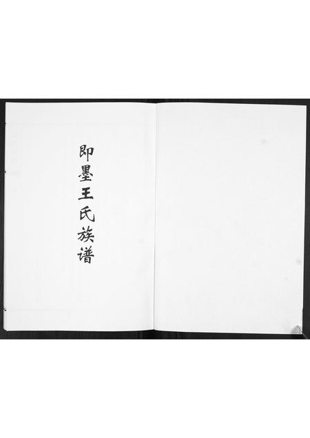 山东王氏-王氏族谱.pdf电子版插图1 山东王氏-王氏族谱.pdf电子版插图1