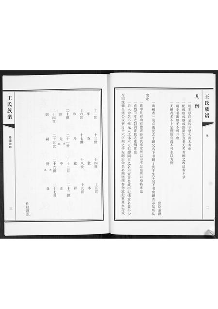 山东王氏-王氏族谱.pdf电子版插图3 山东王氏-王氏族谱.pdf电子版插图3