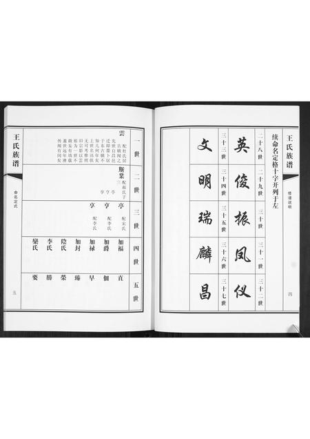 山东王氏-王氏族谱.pdf电子版插图4 山东王氏-王氏族谱.pdf电子版插图4