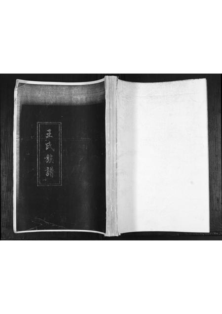 山东王氏-王氏族谱.pdf电子版