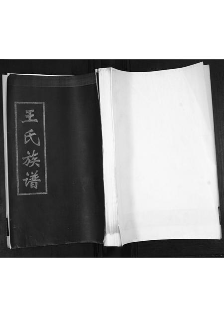 山东王氏-王氏族谱.pdf电子版
