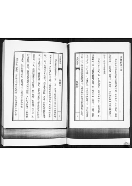 山东王氏-王氏族谱.pdf电子版插图5 山东王氏-王氏族谱.pdf电子版插图5