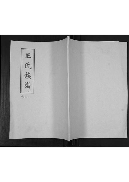 山东王氏-王氏族谱.pdf电子版