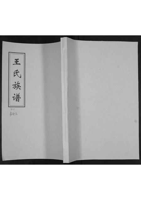 山东王氏-王氏族谱.pdf电子版