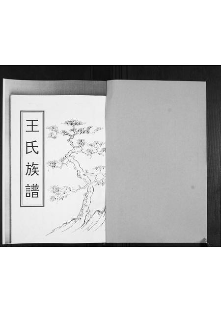 山东王氏-王氏族谱.pdf电子版插图1 山东王氏-王氏族谱.pdf电子版插图1