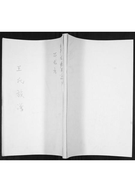 山东王氏-王氏族谱.pdf电子版