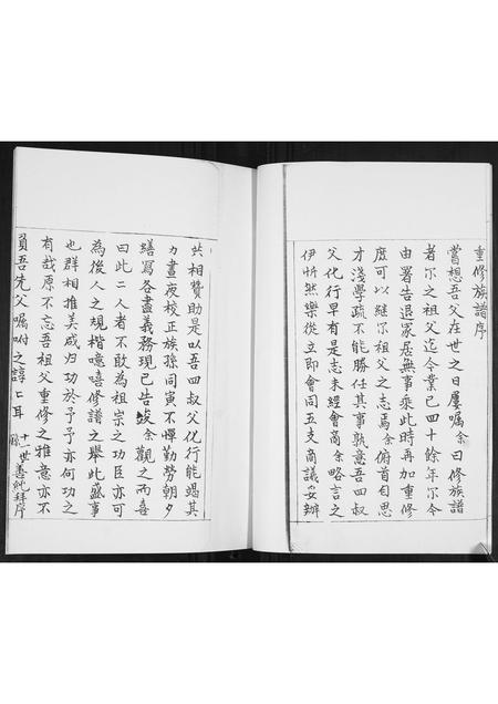 山东王氏-王氏族谱.pdf电子版插图2 山东王氏-王氏族谱.pdf电子版插图2