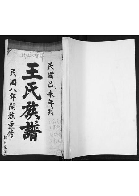 山东王氏-王氏族谱.pdf电子版