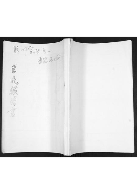 山东王氏-王氏族谱.pdf电子版