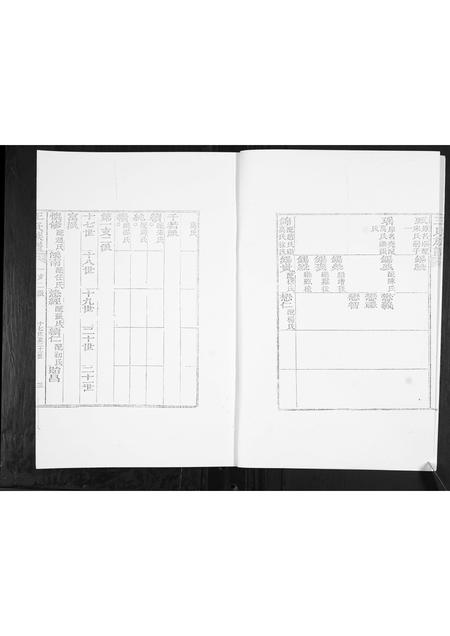 山东王氏-王氏族谱.pdf电子版插图3 山东王氏-王氏族谱.pdf电子版插图3