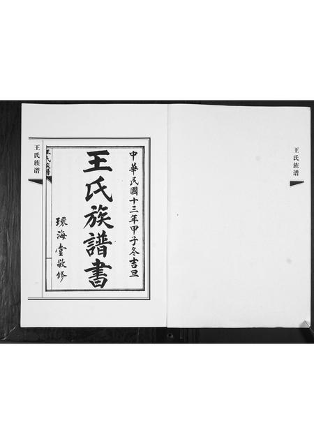 山东王氏-王氏族谱.pdf电子版插图1 山东王氏-王氏族谱.pdf电子版插图1