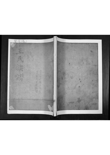 山东王氏-王氏族谱.pdf电子版插图 山东王氏-王氏族谱.pdf电子版插图