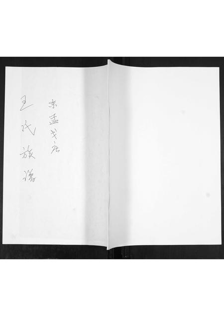 山东王氏-王氏族谱.pdf电子版插图 山东王氏-王氏族谱.pdf电子版插图