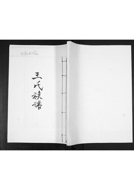 山东王氏-王氏族谱.pdf电子版插图 山东王氏-王氏族谱.pdf电子版插图