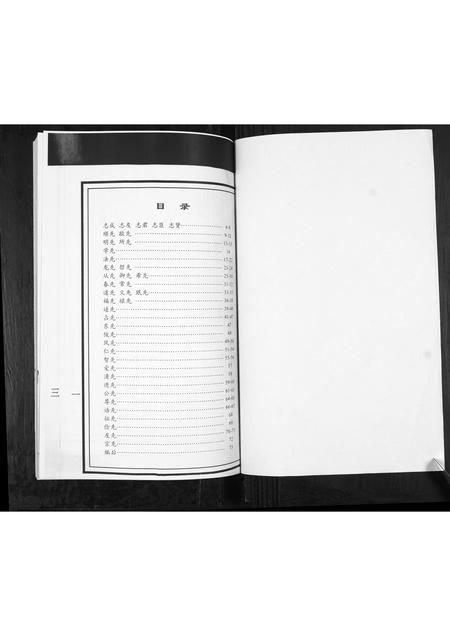 山东王氏-王氏族谱.pdf电子版插图1 山东王氏-王氏族谱.pdf电子版插图1