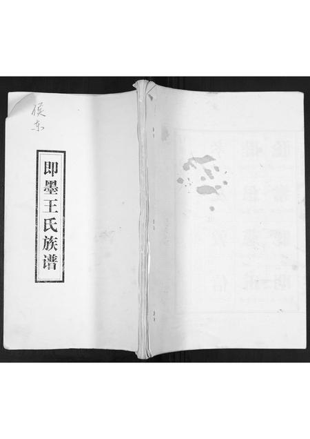 山东王氏-王氏族谱.pdf电子版