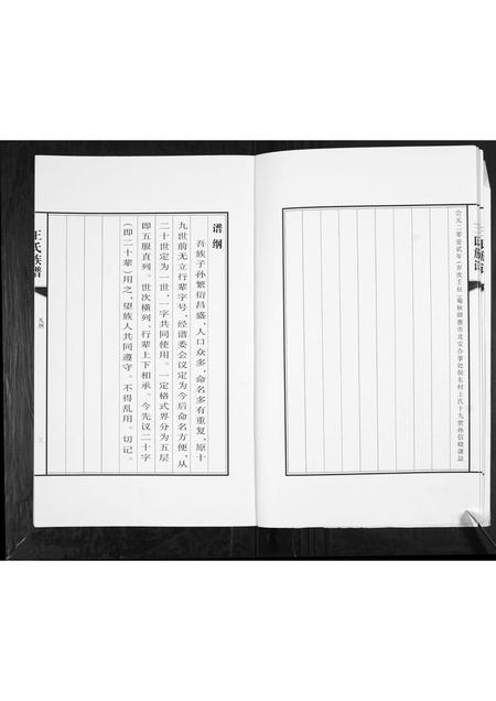 山东王氏-王氏族谱.pdf电子版插图4