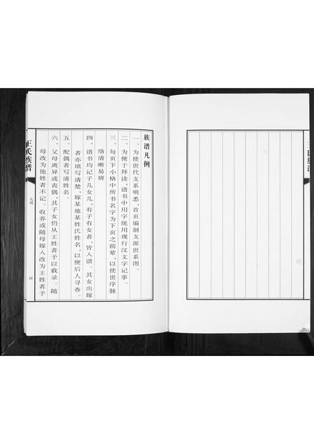 山东王氏-王氏族谱.pdf电子版插图5