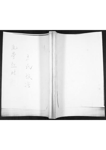 山东王氏-王氏族谱.pdf电子版