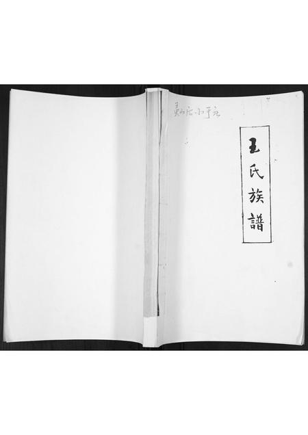 山东王氏-王氏族谱.pdf电子版