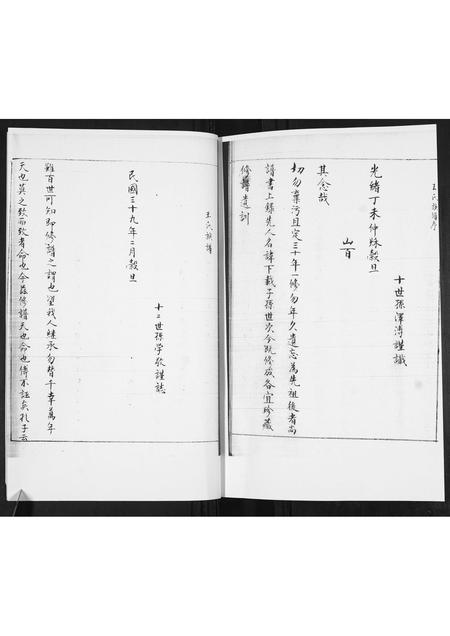 山东王氏-王氏族谱.pdf电子版插图5