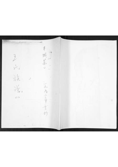 山东王氏-王氏族谱.pdf电子版