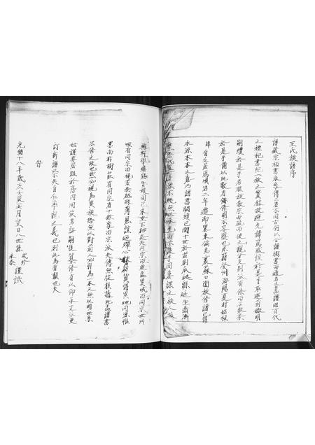 山东王氏-王氏族谱.pdf电子版插图1