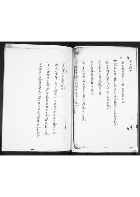 山东王氏-王氏族谱.pdf电子版插图3