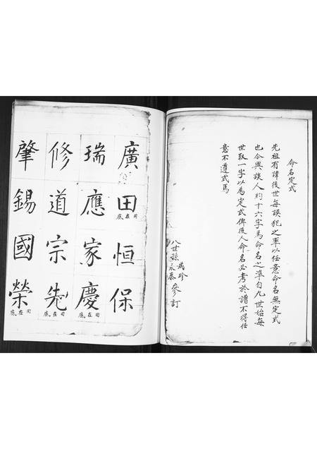 山东王氏-王氏族谱.pdf电子版插图4