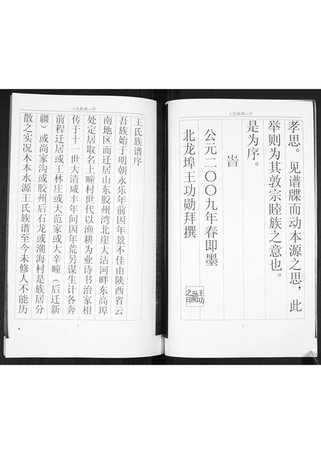 山东王氏-王氏族谱.pdf电子版插图3 山东王氏-王氏族谱.pdf电子版插图3