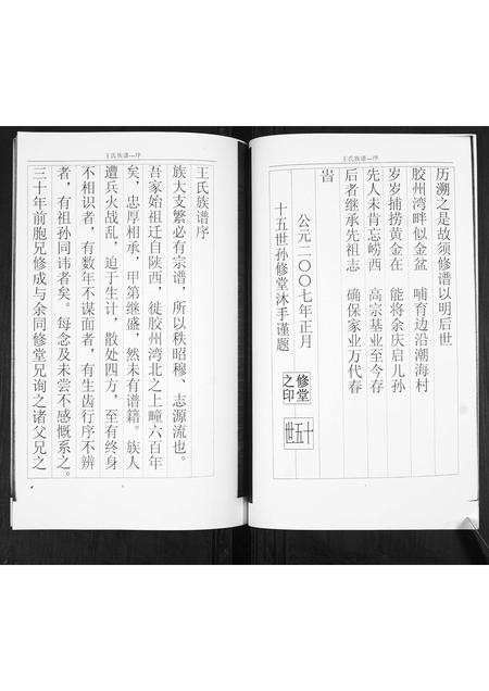 山东王氏-王氏族谱.pdf电子版插图4 山东王氏-王氏族谱.pdf电子版插图4